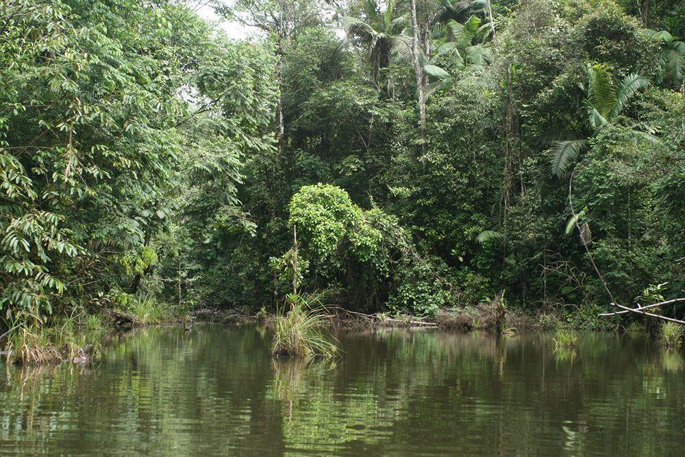 La Laguna Del Lagarto Eco-Lodge Pital  Exteriör bild