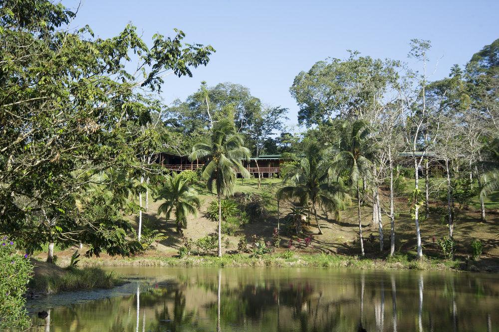 La Laguna Del Lagarto Eco-Lodge Pital  Exteriör bild