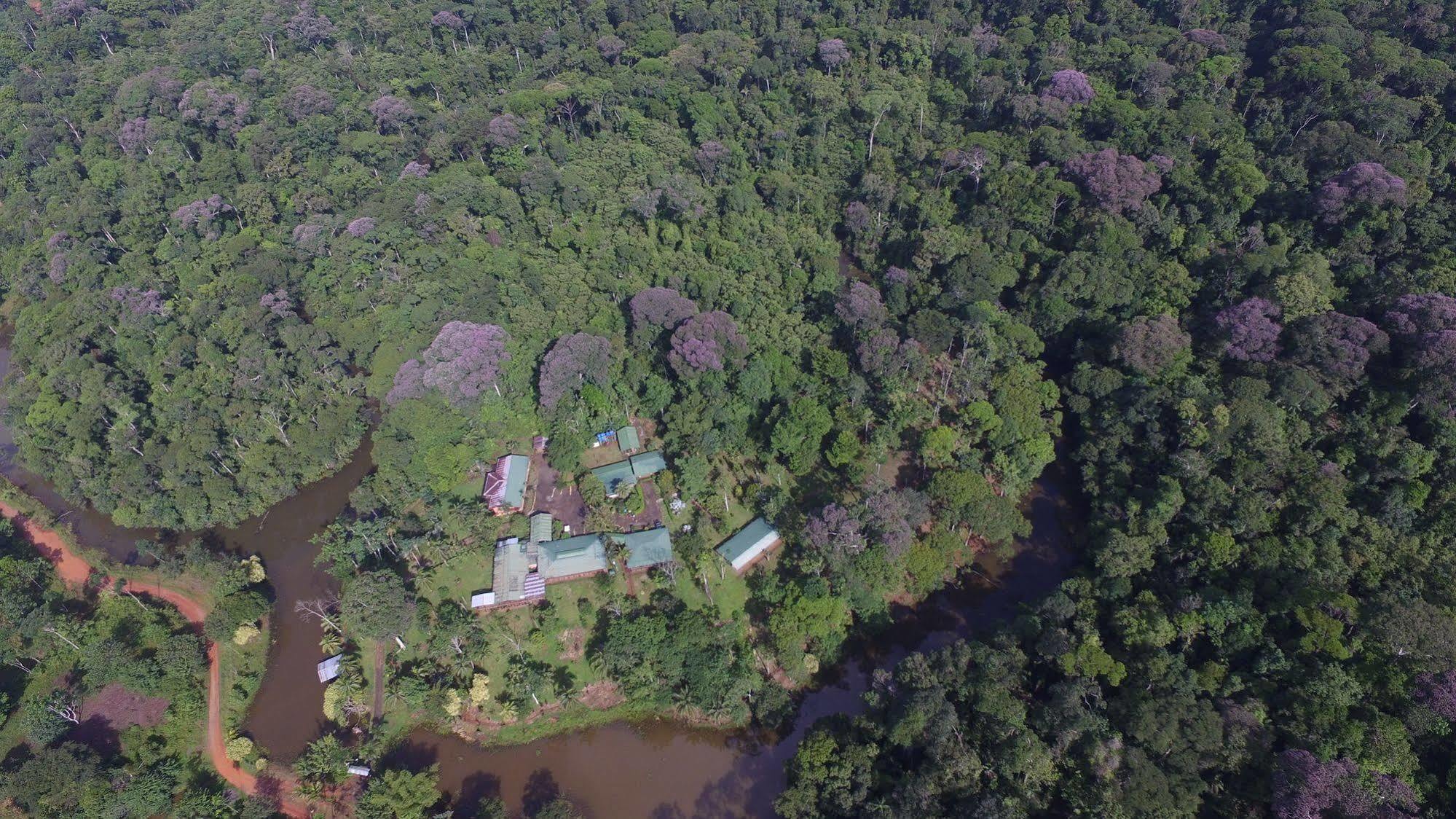 La Laguna Del Lagarto Eco-Lodge Pital  Exteriör bild