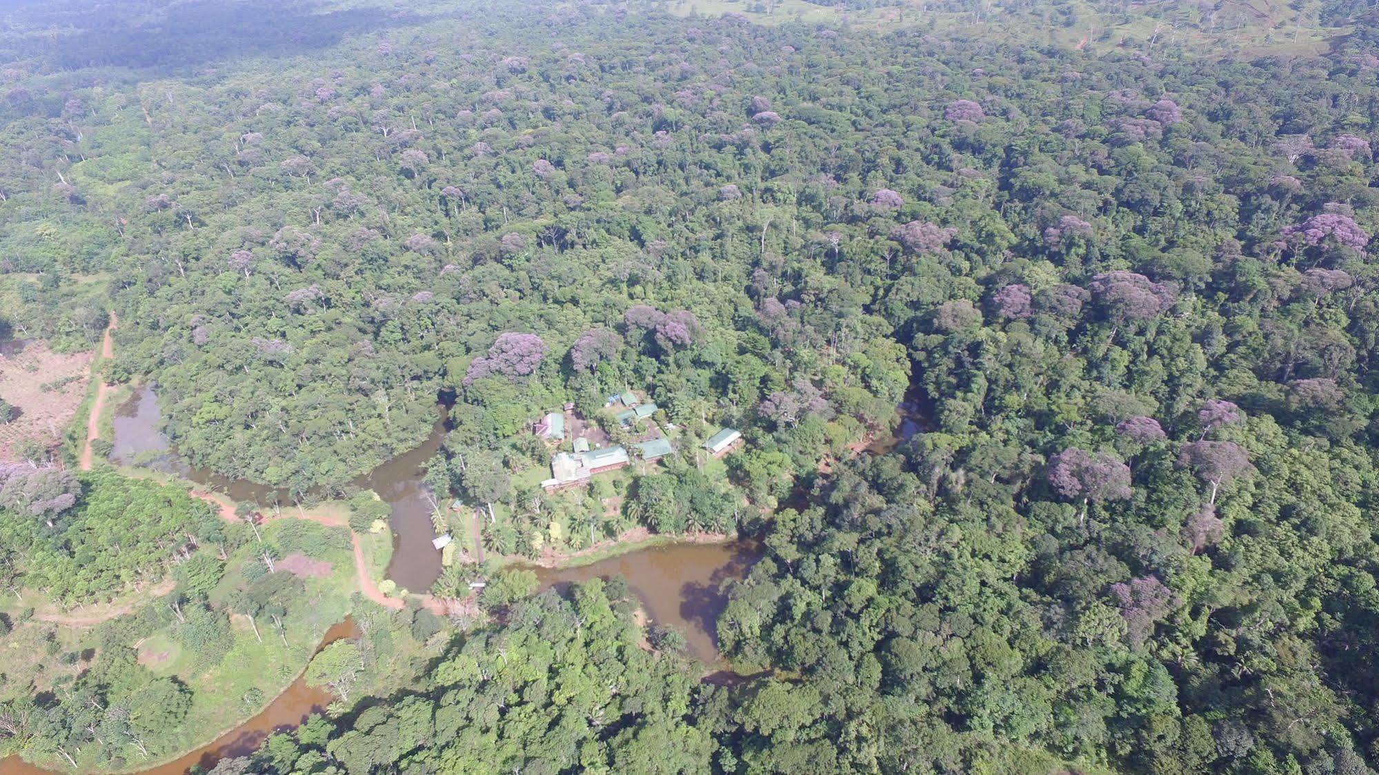 La Laguna Del Lagarto Eco-Lodge Pital  Exteriör bild