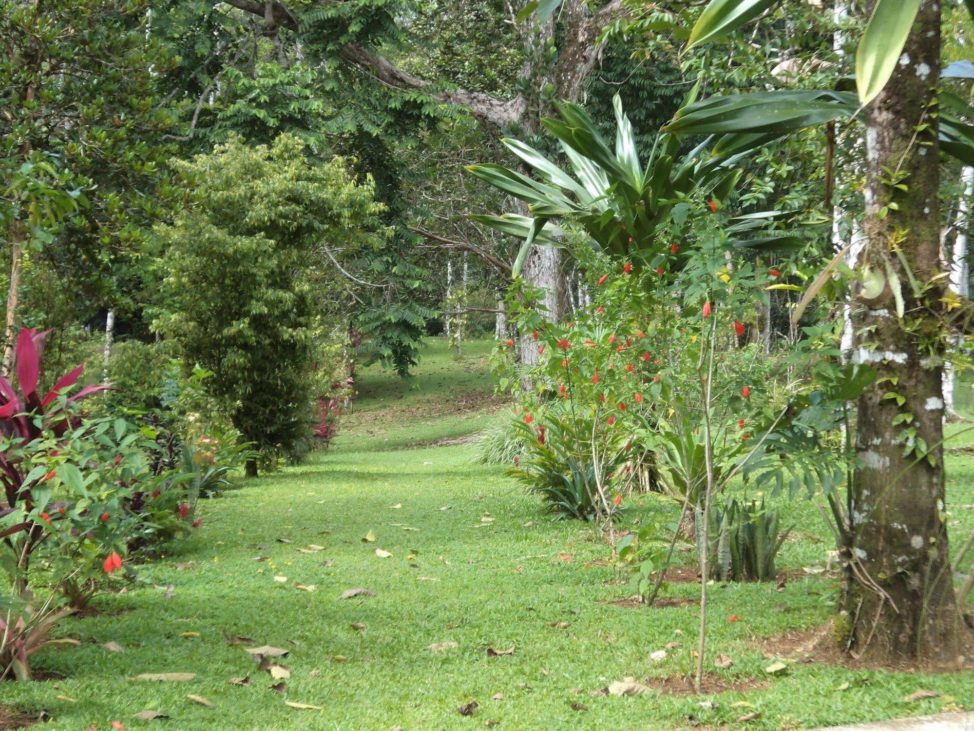 La Laguna Del Lagarto Eco-Lodge Pital  Exteriör bild