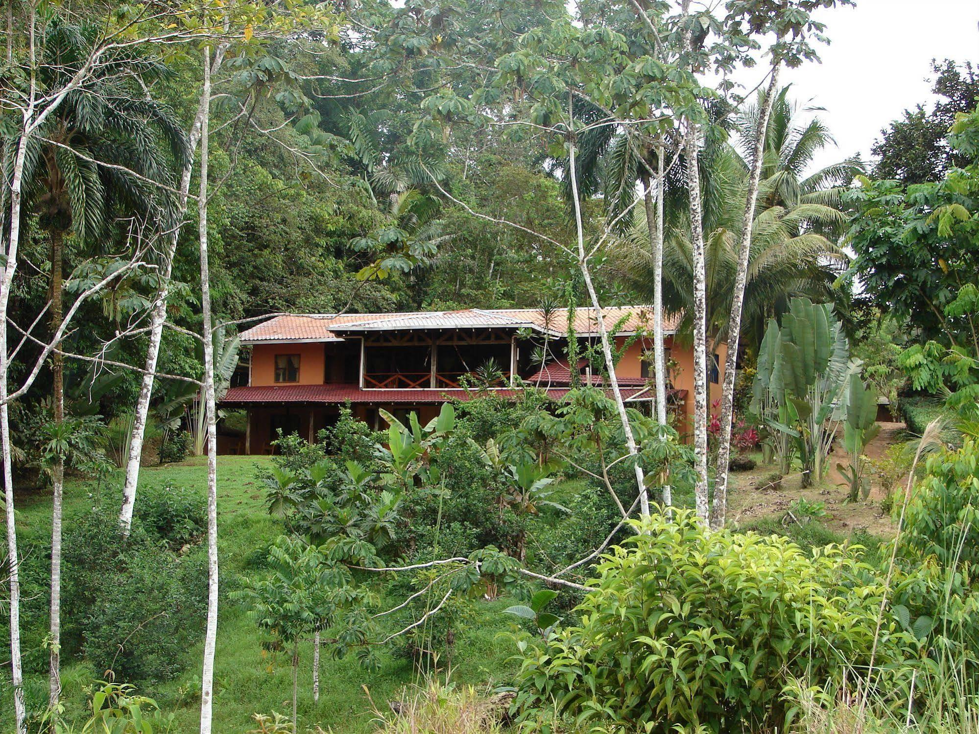 La Laguna Del Lagarto Eco-Lodge Pital  Exteriör bild